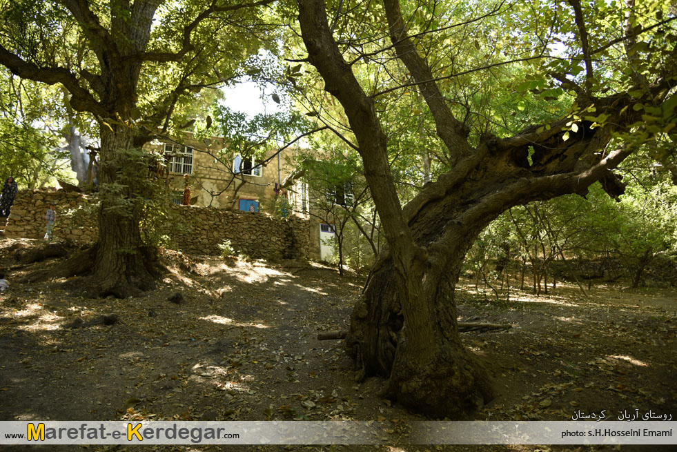 مکان های توریستی سروآباد